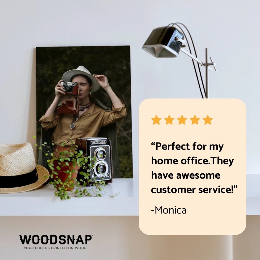 Woodsnap review creative design